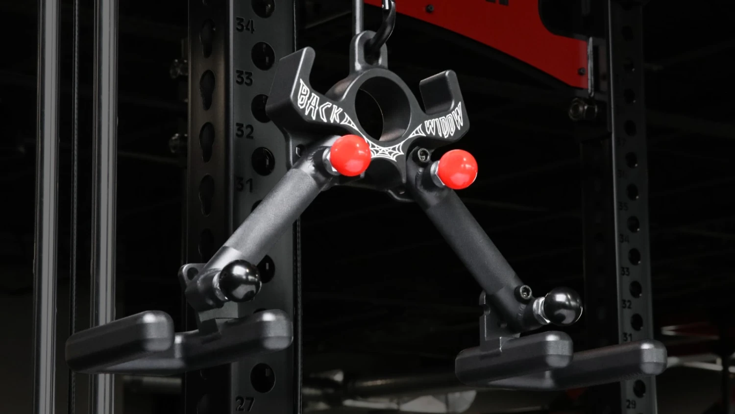 Back Widow 3 Back Widow