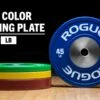 Rogue Color LB Training 2.0 Plates 2 Rogue Color LB Training 2.0 Plates -Fitness Equipment IP0510 H rg3uyo