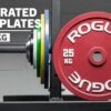 Rogue Calibrated KG Steel Plates