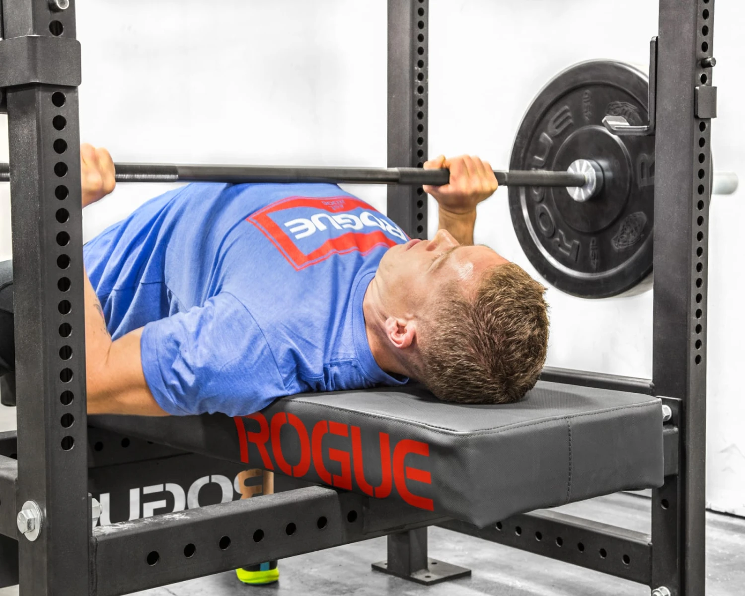 Thompson Fat Pad™ 4 Thompson Fat Pad™ - Image 2