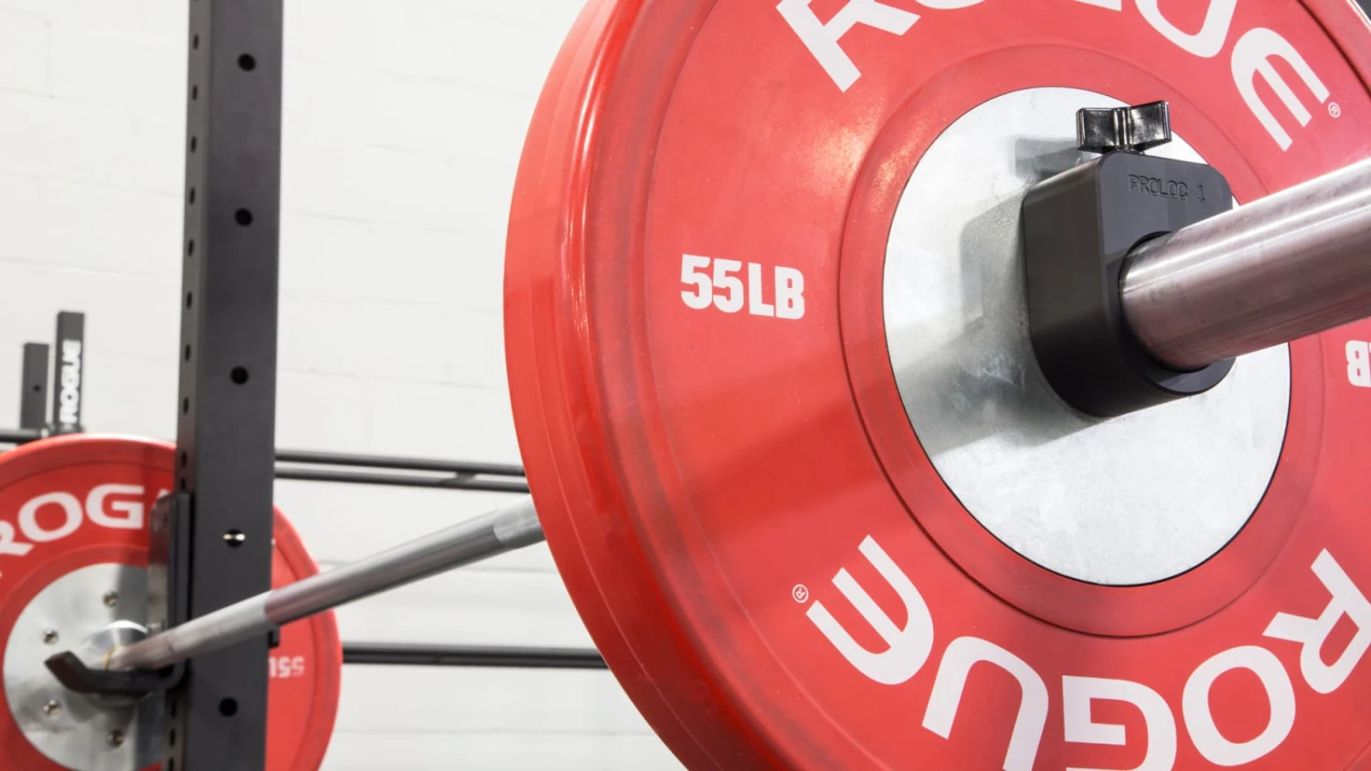 Rogue Proloc™ Collars - Black 4 Rogue Proloc™ Collars - Black - Image 2