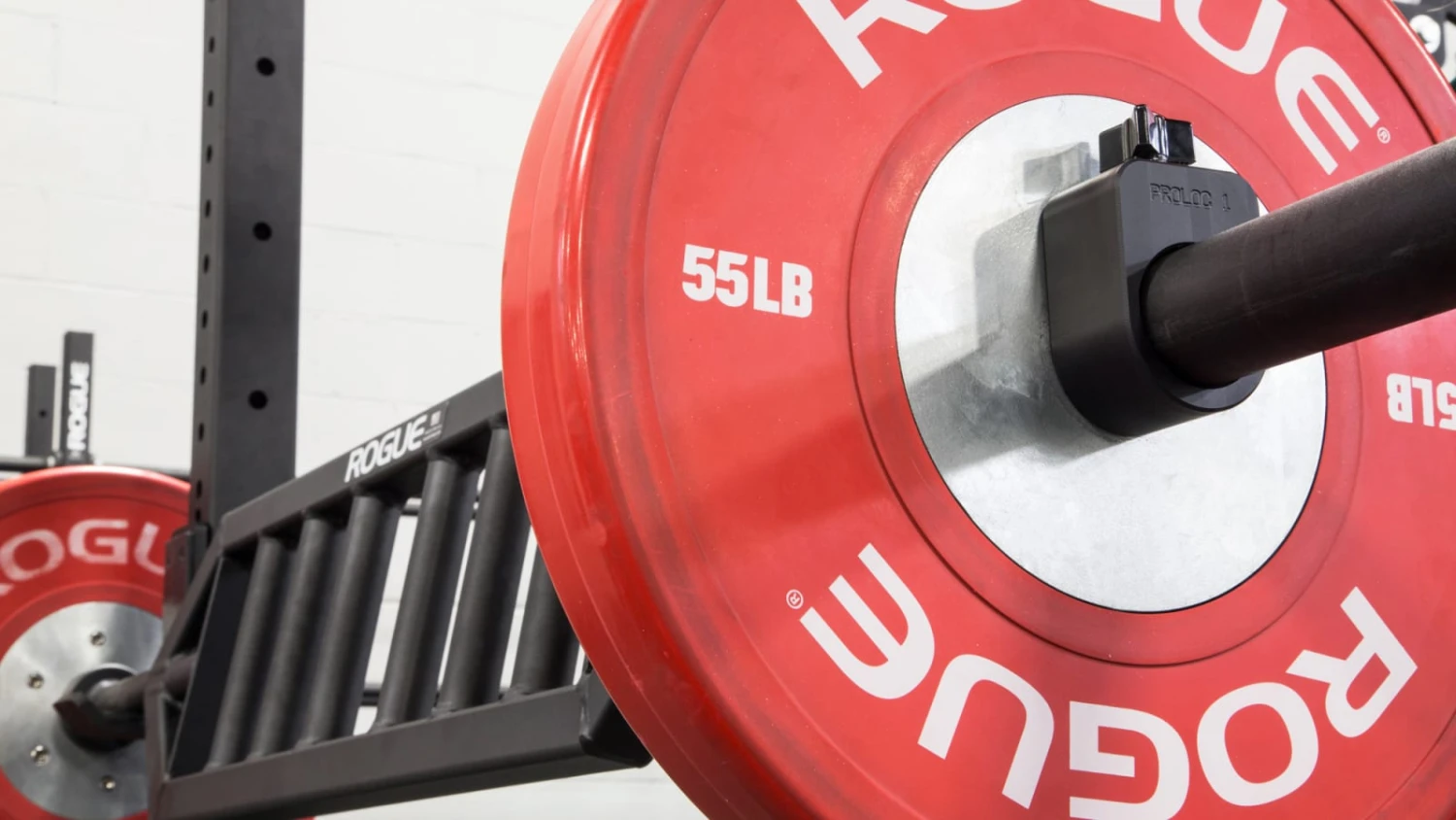 Rogue Proloc™ Collars - Black 6 Rogue Proloc™ Collars - Black - Image 4