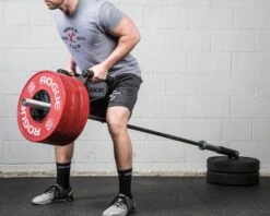 Rogue Parallel Landmine Handle -Fitness Equipment PLANDMINE WEB4 xoicze