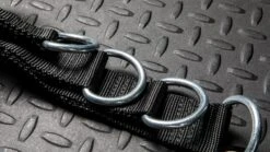 Rogue Multi Belt 11 Rogue Multi Belt -Fitness Equipment RS1010 WEB5 zt1z5e