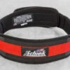 Schiek 3004 Power Lifting Belt