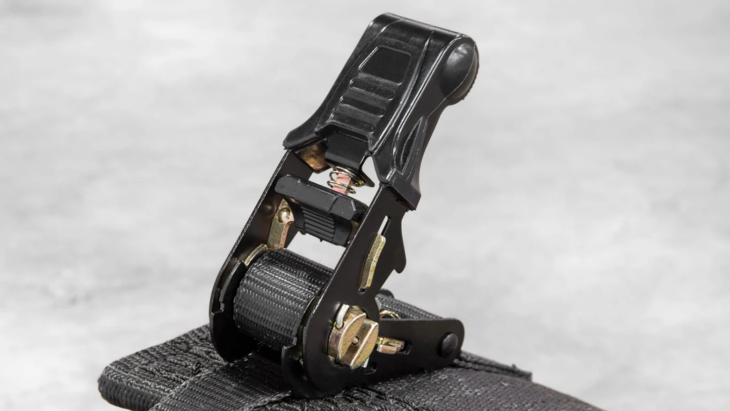 Spud Inc Pro Series Deadlift Belt 7 Spud Inc Pro Series Deadlift Belt - Image 5