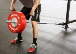 Rogue Landmine Handles -Fitness Equipment XX3127 WEB2 cshcuj